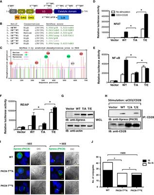 The Peptidyl-Prolyl cis-trans isomerase, Pin1, associates with Protein Kinase C θ via a critical Phospho-Thr-Pro motif in the V3 regulatory domain